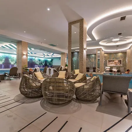 Buket זלאטיבור